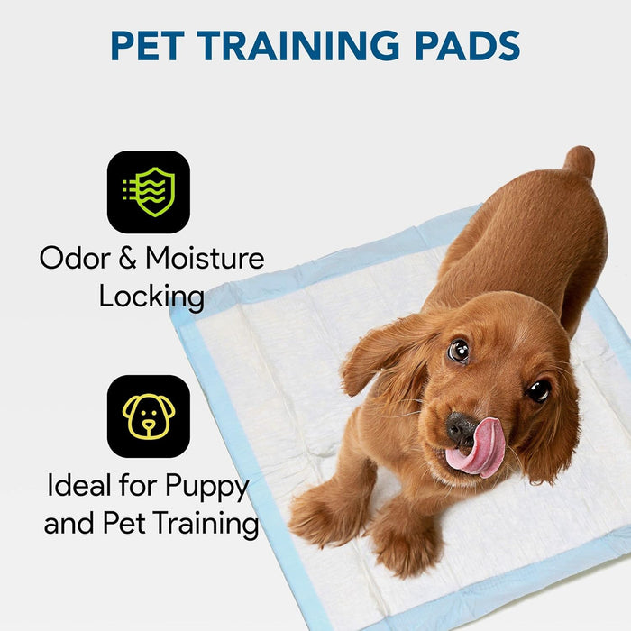 Wave Best Economy 23" x 36" Pet Training Pads | Puppy Training Pee Pads - Disposable Underpads, Made in the USA